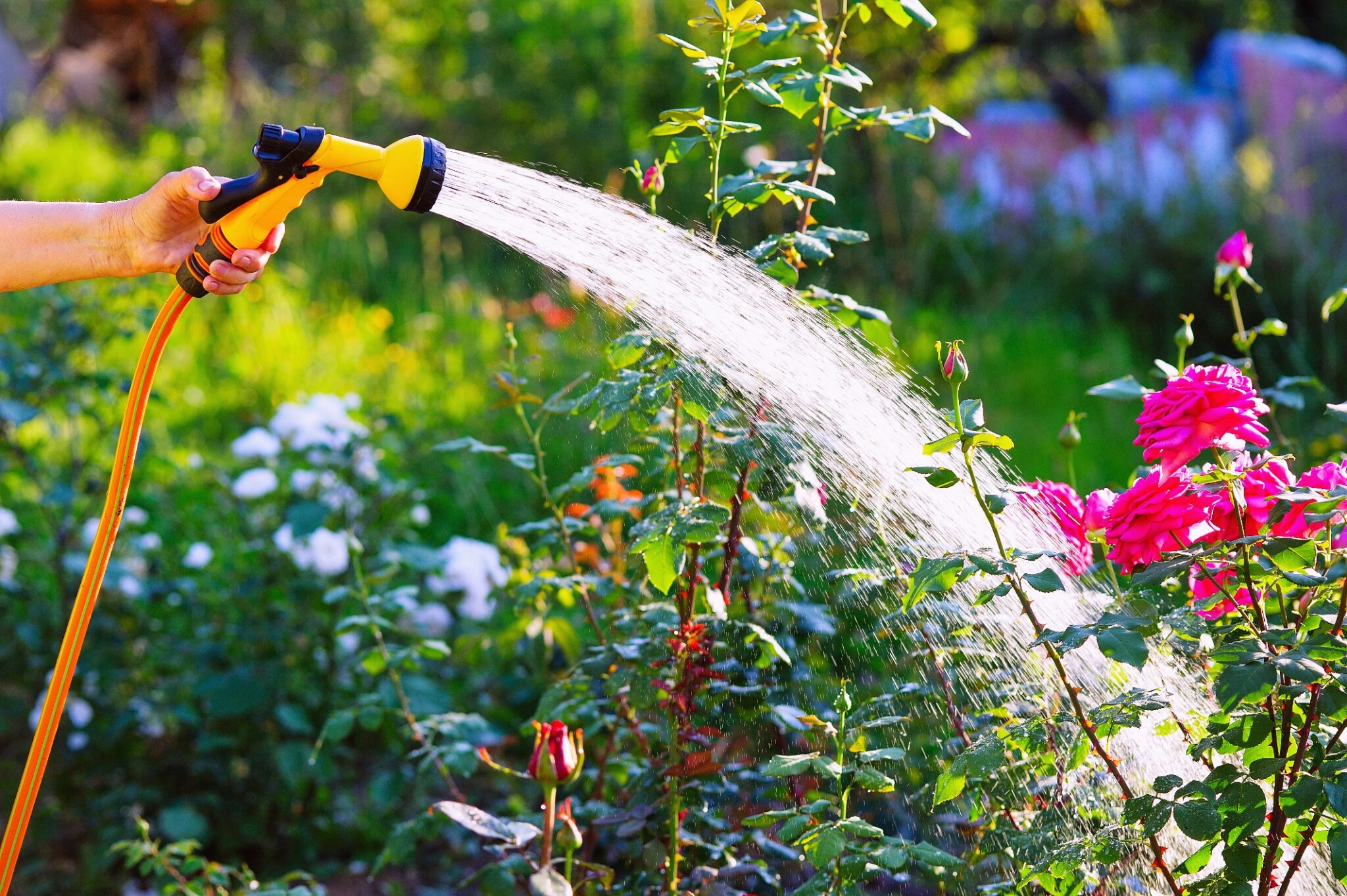 Garten &amp; Freizeit LEITERMANN Blog für Selbermacher