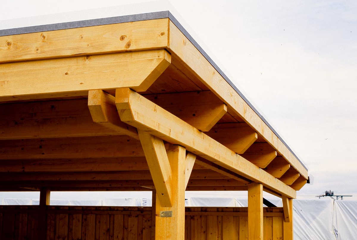 Skan Holz Carport - 613 m. Leitermann Aluminium-Platten weiß | - Abstellraum cm LEITERMANN | Farbe: 846 | Emsland x Größe: Dach
