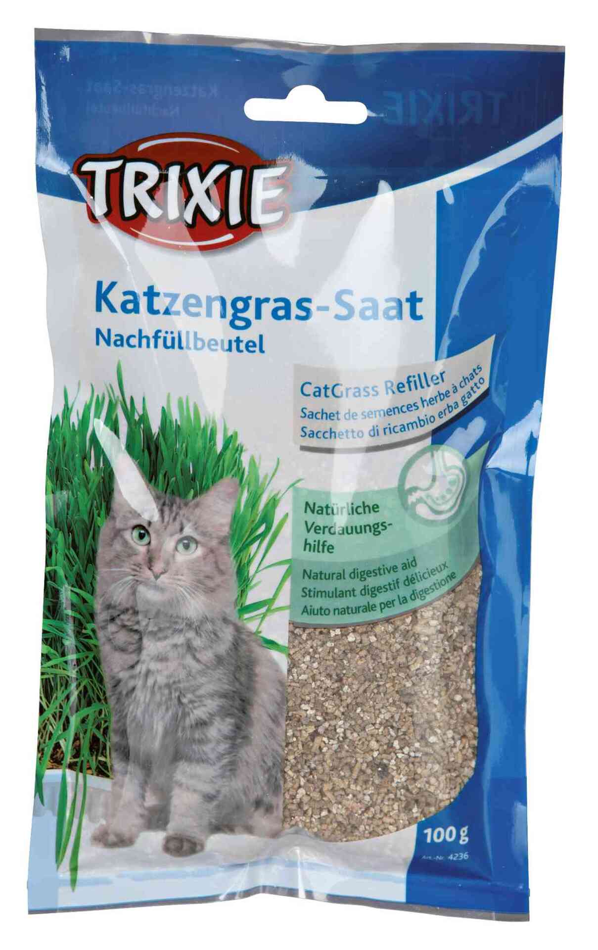 Katzengras