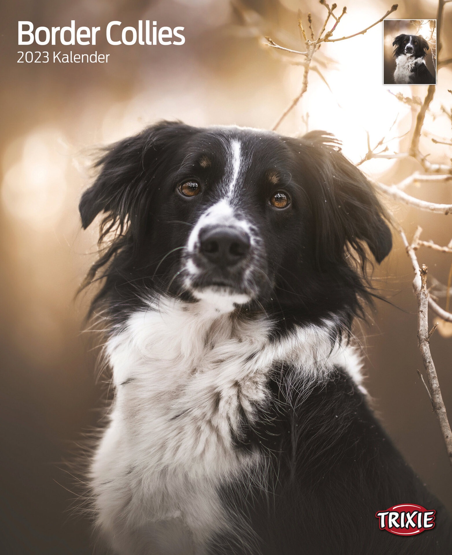 Kalender Border Collies