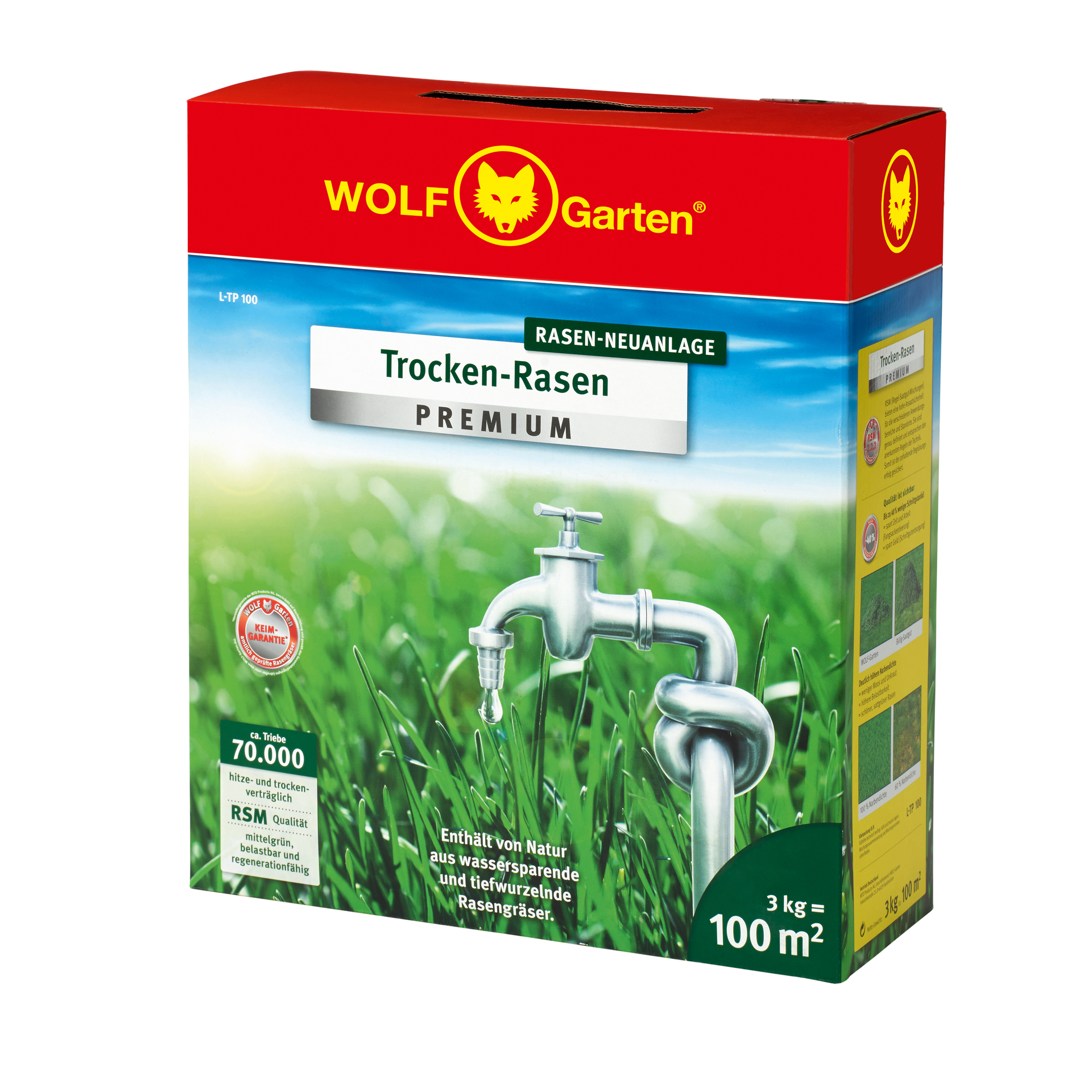 Trocken-Rasen Premium L-Tp