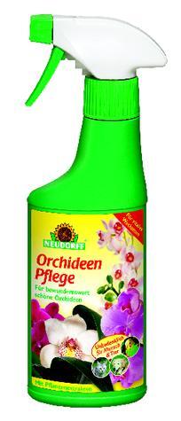 Orchideen Pflege