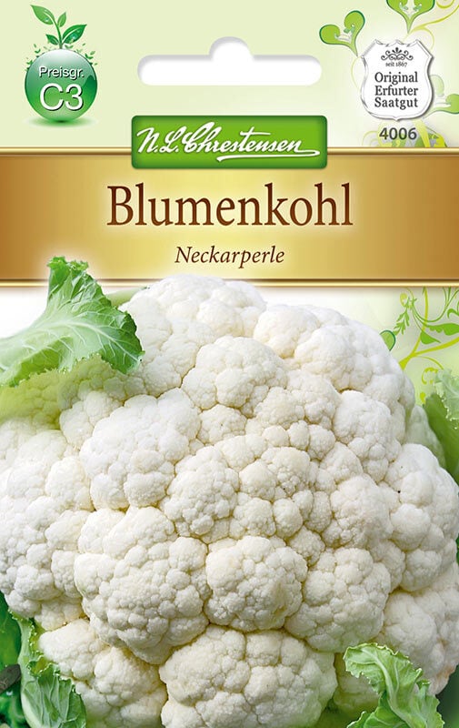 Blumenkohl Neckarperle