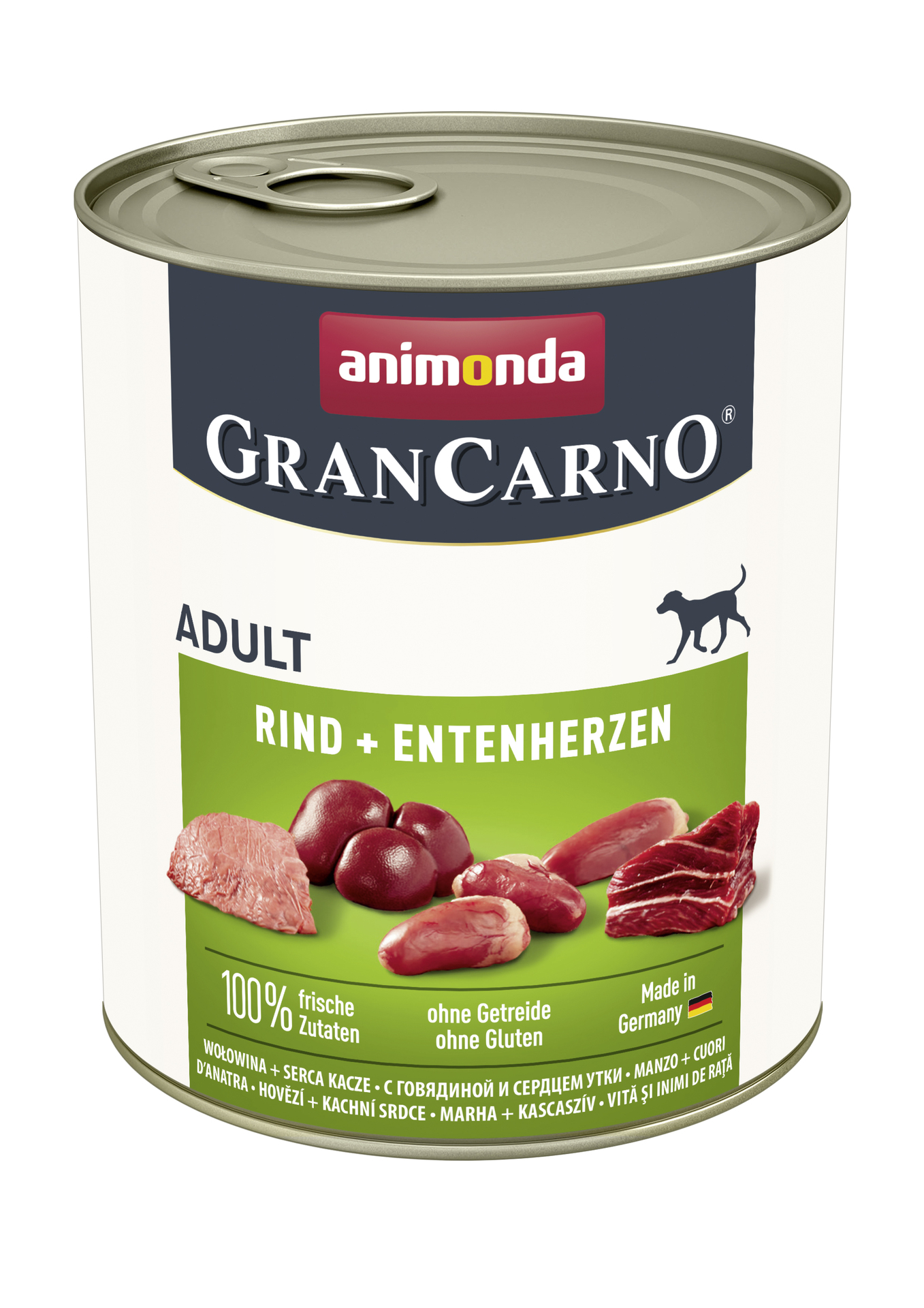 Dog GranCarno Adult