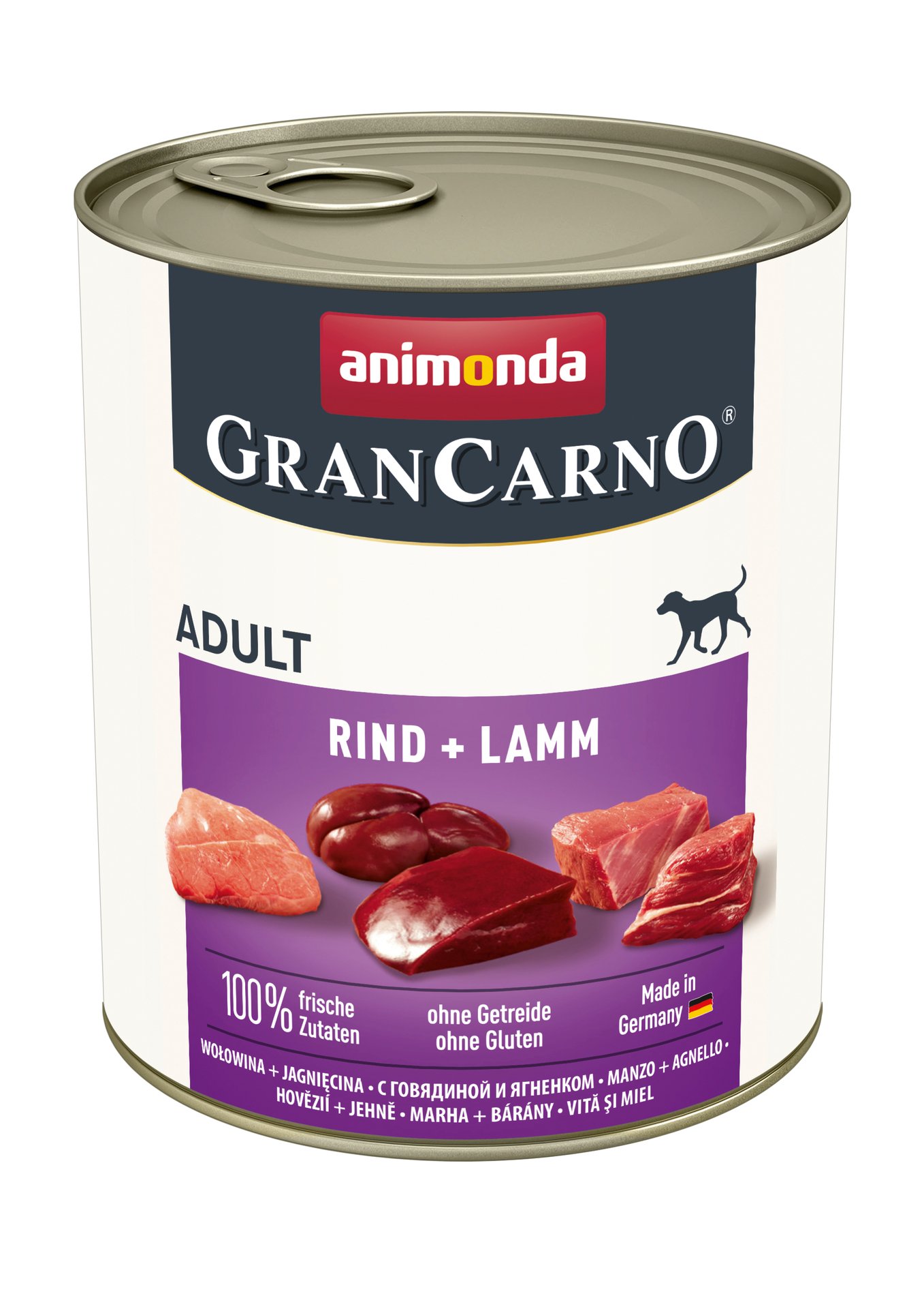 Dog GranCarno Adult