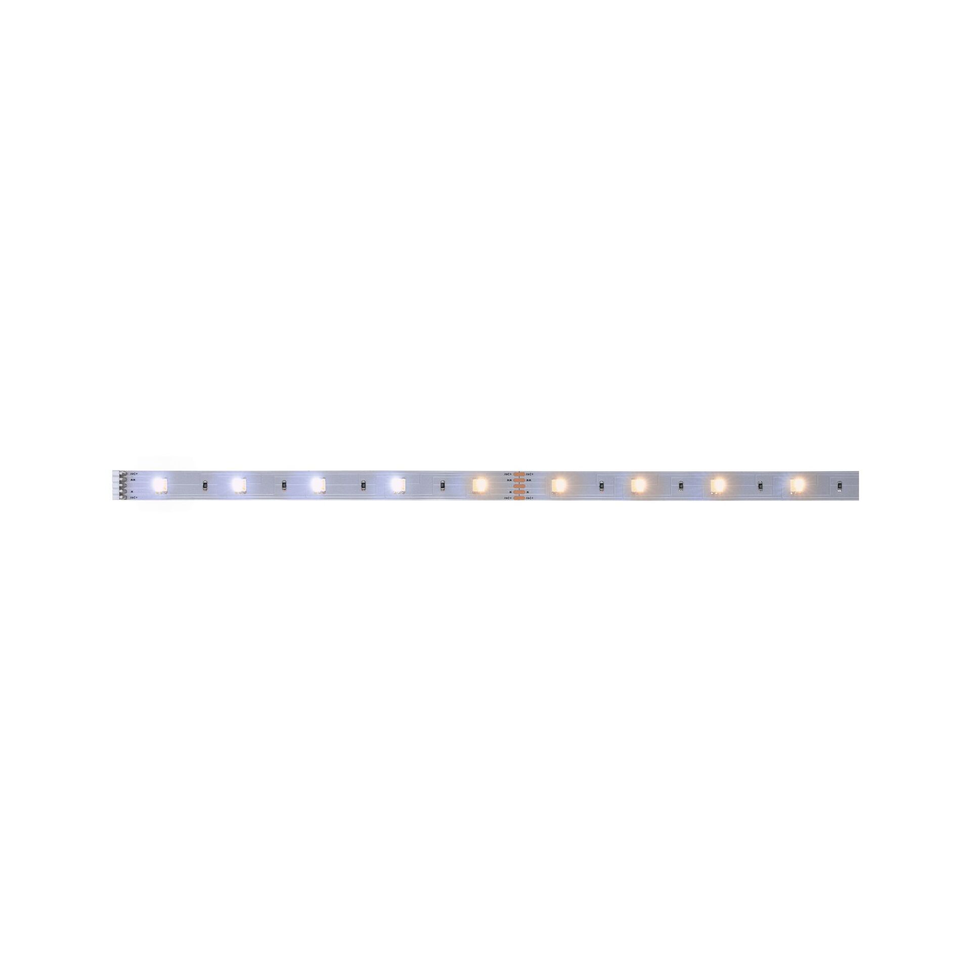 MaxLED 250 LED Strip