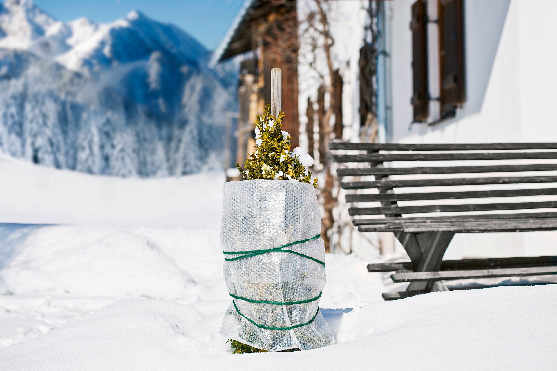 Winter-Kälteschutzfolie