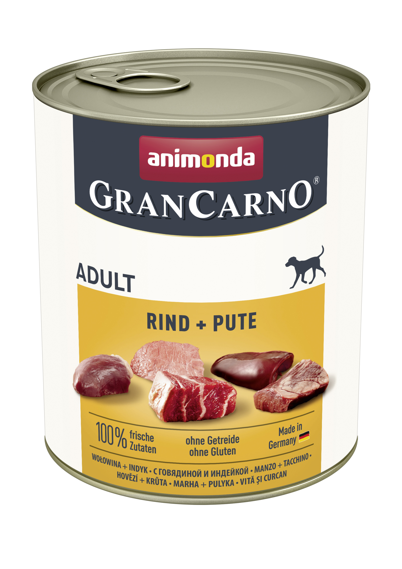 Dog GranCarno Adult