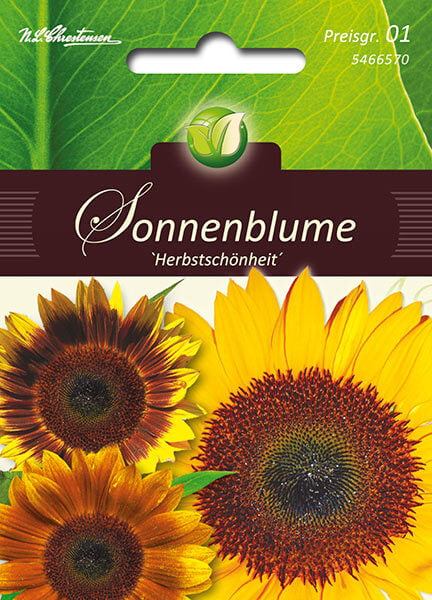 Helianthus - Sonnenblume - Mischung