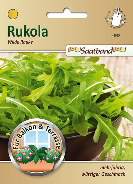 Rukola - Wilde Rauke / Diplotaxis tenuifolia