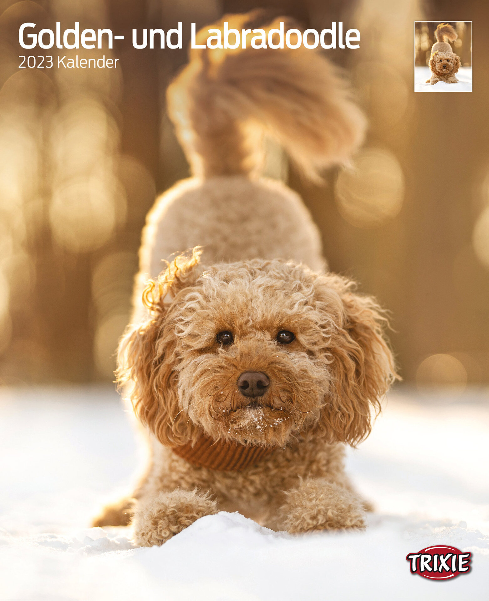 TRIXIE Kalender Golden-und Labradoodle