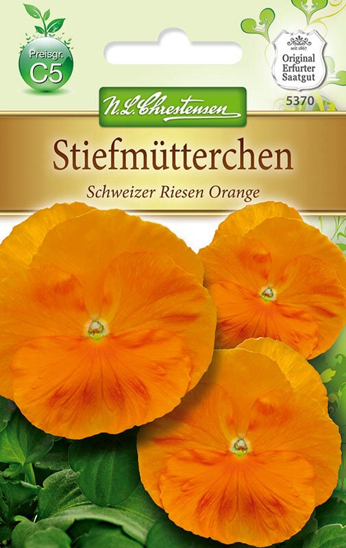 Viola wittrockiana Schweizer Riesen